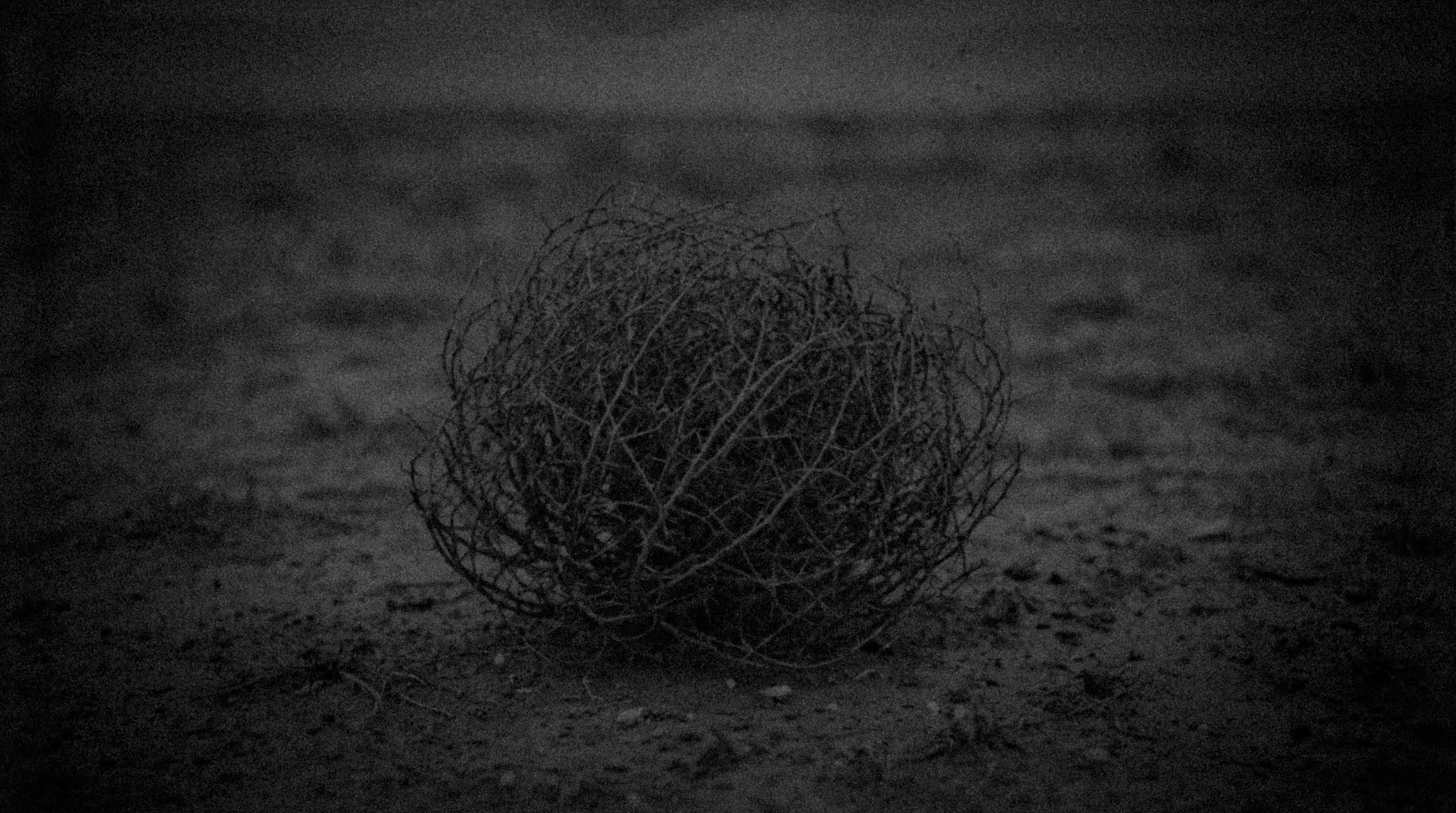 Tumbleweed on the desert floor